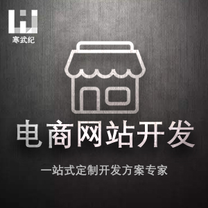 电商网站开发