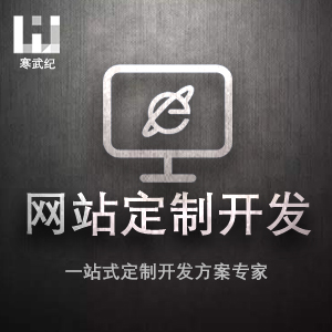 网站定制开发