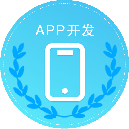 APP定制开发