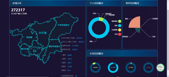 公共信用信息系统