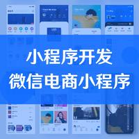 小程序开发及其电商类