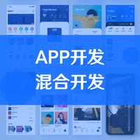 APP开发