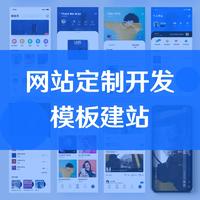 网站定制开发/模版建站