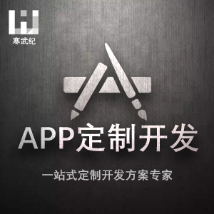 APP定制开发