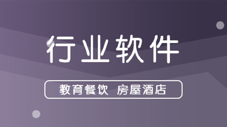 行业软件开发