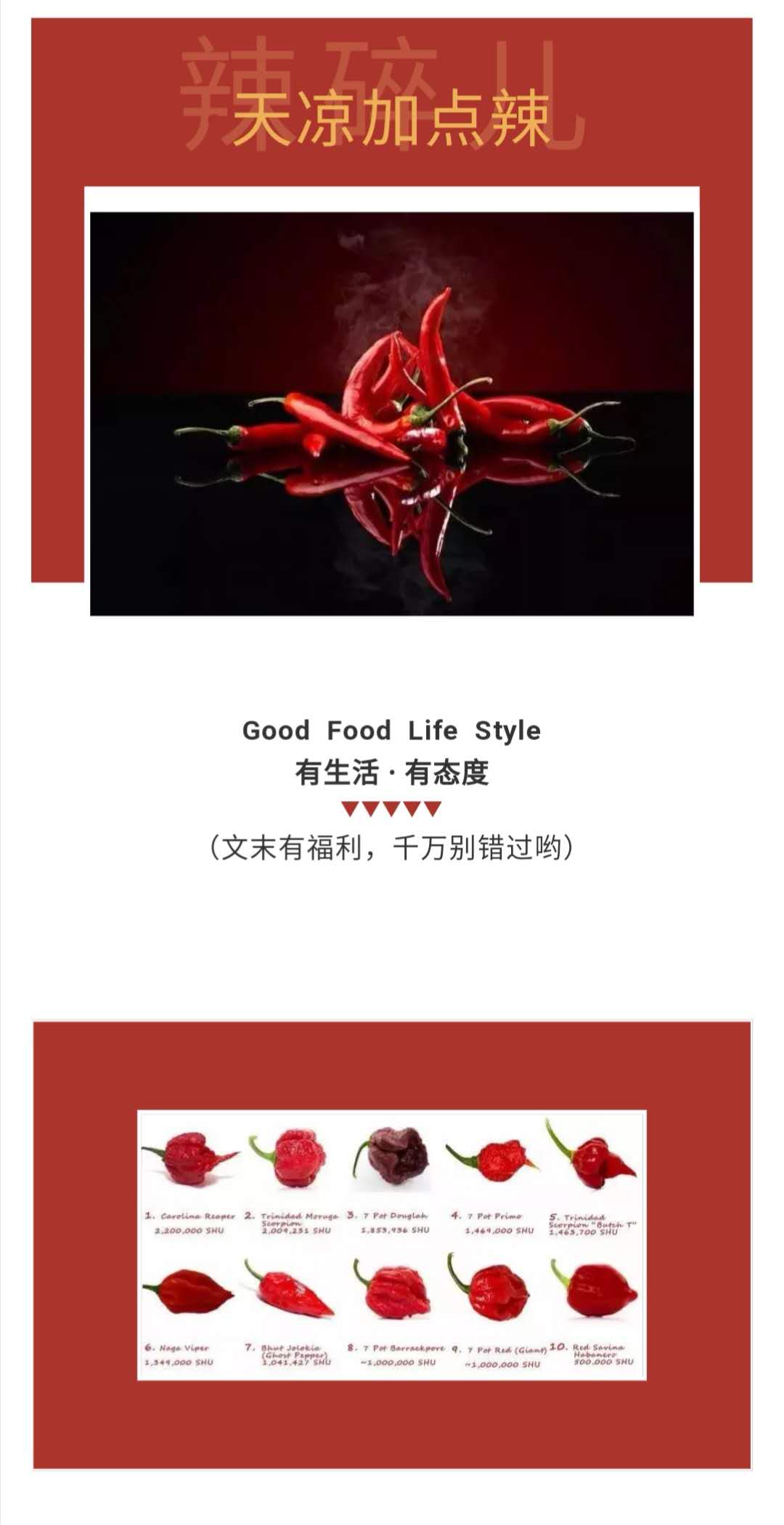 食品行业产品推广