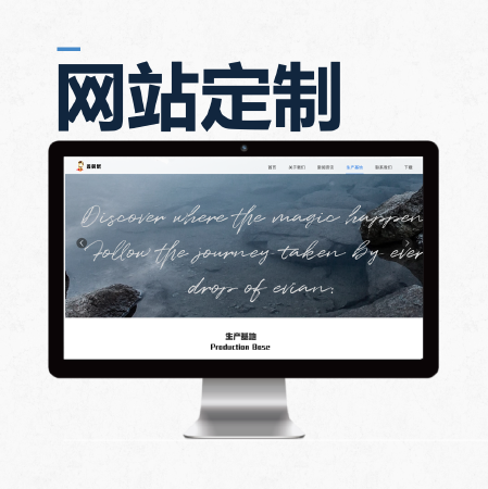 网站定制开发