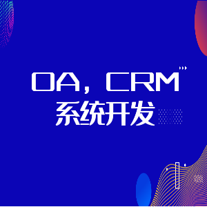 OA，CRM系统开发