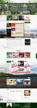 电商网站搭建