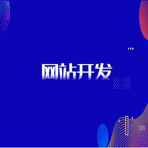 网站开发