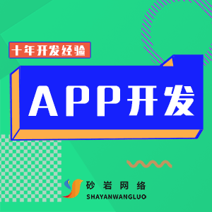 APP开发