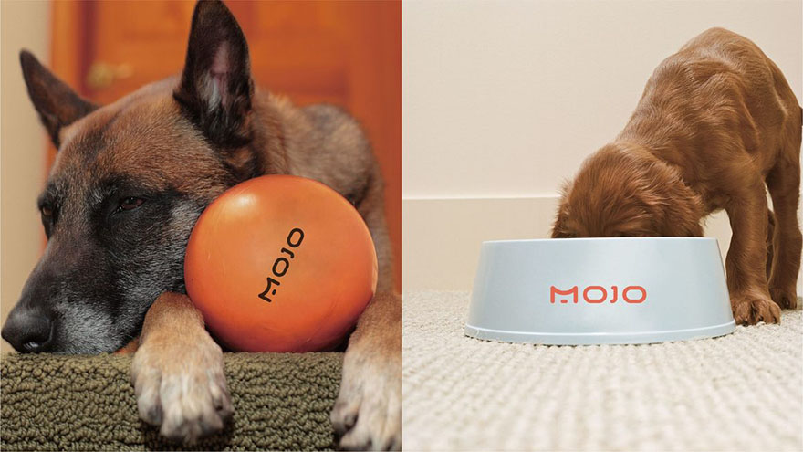 宠物用品品牌mojologo