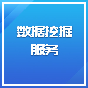 数据挖掘服务