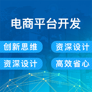 电商平台开发