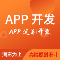 APP定制化开发服务