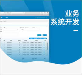 软件开发/业务系统开发