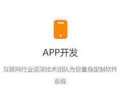 app开发