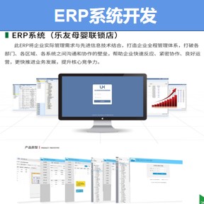 ERP系统开发
