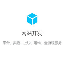 网站开发