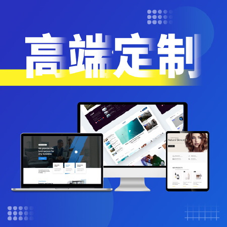 电商网站外贸网站高端定制快速建站小程序公众号定制开发源码制作