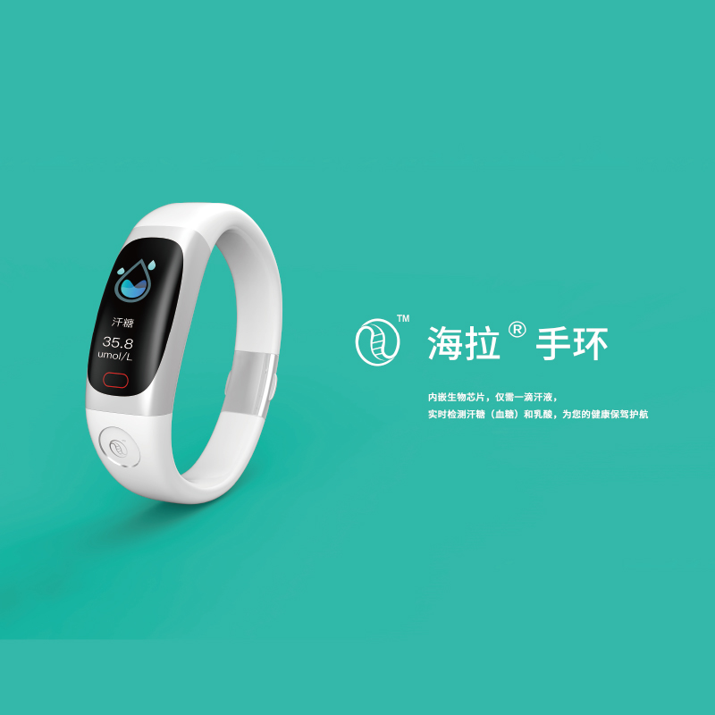 HELA手环品牌建设策划与设计
