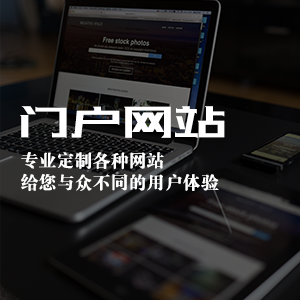 门户网站开发/后台管理平台