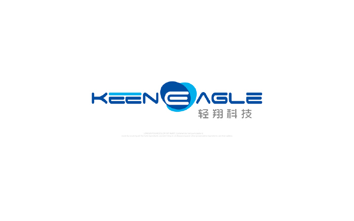 轻翊科技LOGO设计及简单应用案例展示