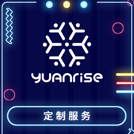 定制服务 企业定制 行业定制 系统定制 小程序定制 专业定制