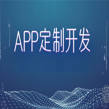 APP定制开发