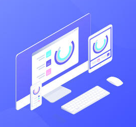 内容管理系统 政府/企业网站开发 小程序开发 app开发 定制开发