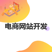 电商网站开发