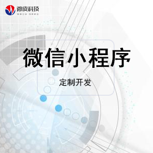 小程序定制开发
