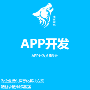 APP开发