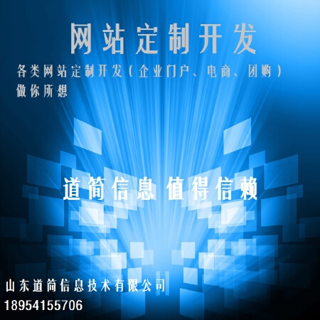 网站定制开发
