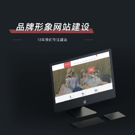 品牌形象网站建设