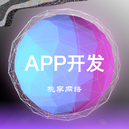 APP开发