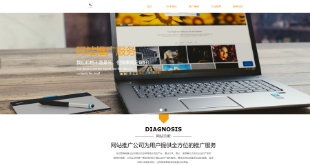 企业网站/门户网站/展示性官网