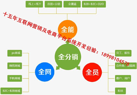 购物商城 企业官网 行业门户站 电商平台开发