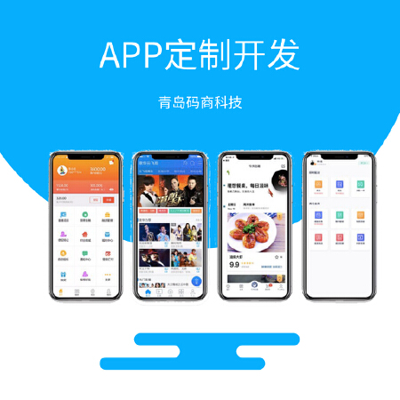APP定制开发