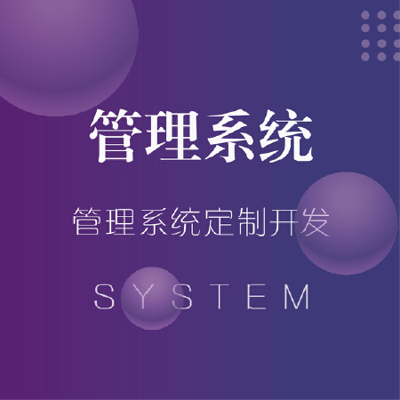各种行业的系统/ERP/CRM/OA/系统定制