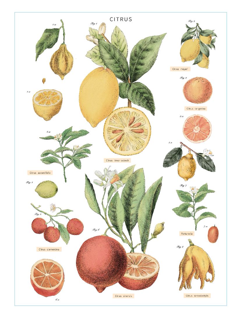 插画/插画师/朱烁/张玉权