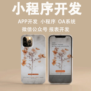 小程序开发定制