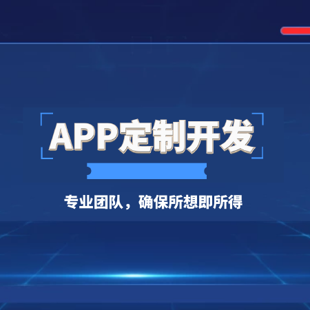APP定制开发