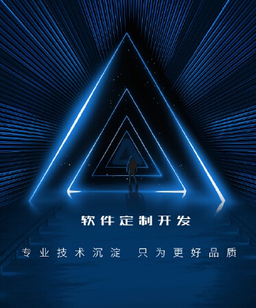 软件定制开发
