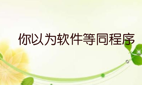 程序员做软件开发，如果你以为软件等同程序，那你就大错特错了