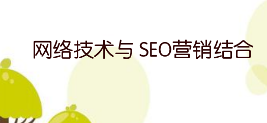 将网络技术与 SEO营销结合，加速企业网络推广的转型
