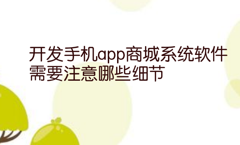 开发手机app商城系统软件需要注意哪些细节