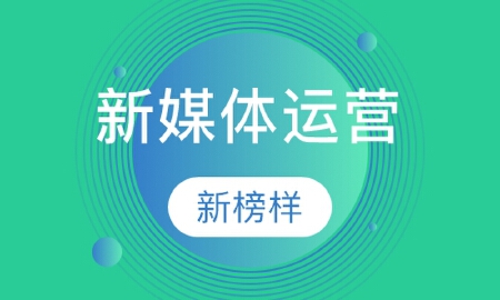 新媒体托管运营