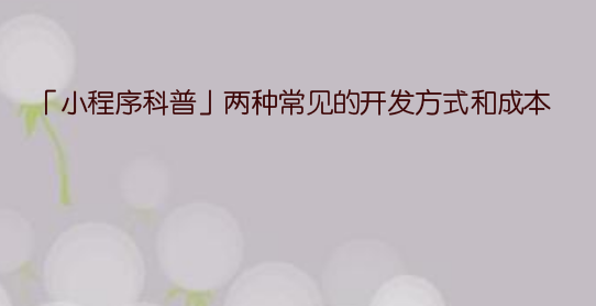 「小程序科普」两种常见的开发方式和成本