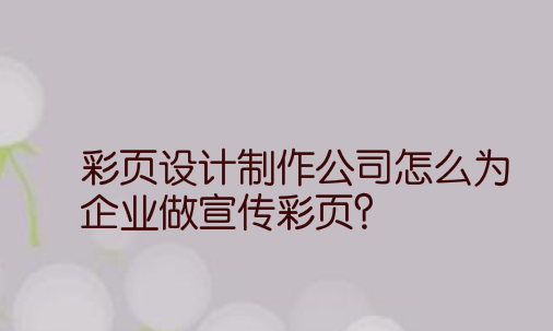 彩页设计制作公司怎么为企业做宣传彩页?